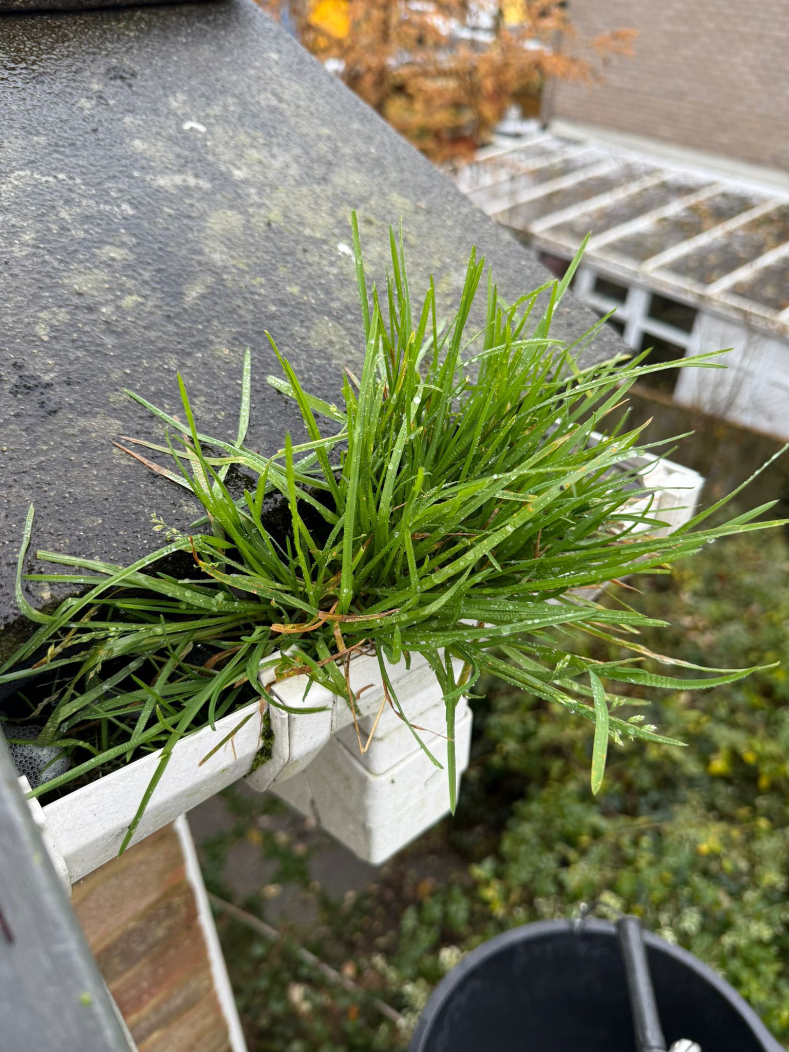 Blocked gutter downpipe in Weybridge
